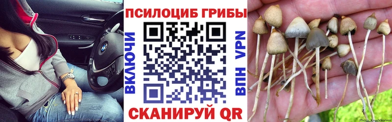 Галлюциногенные грибы Psilocybine cubensis  Иркутск 